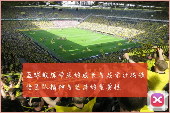 篮球锻炼带来的成长与启示让我领悟团队精神与坚持的重要性