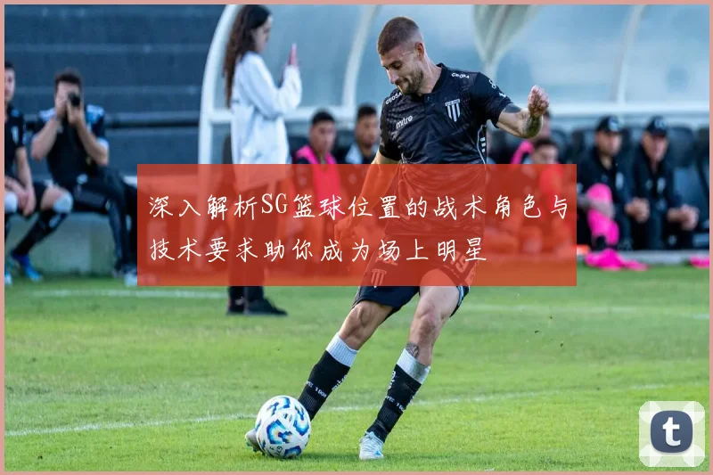 深入解析SG篮球位置的战术角色与技术要求助你成为场上明星