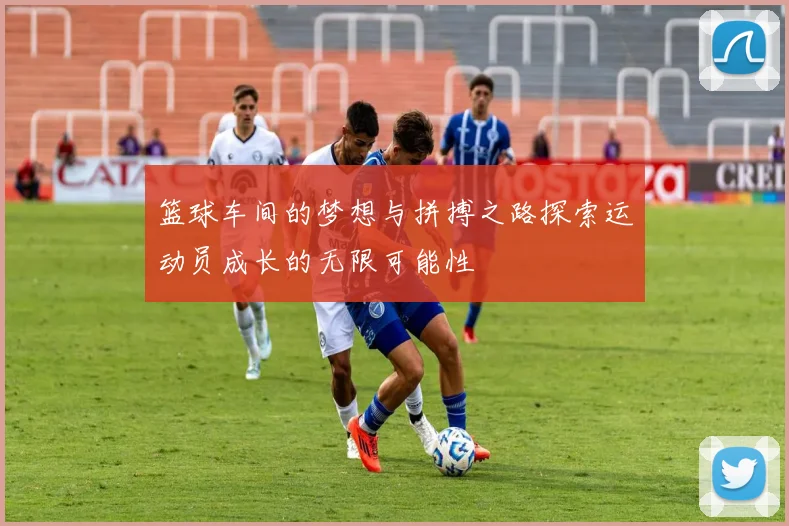 篮球车间的梦想与拼搏之路探索运动员成长的无限可能性