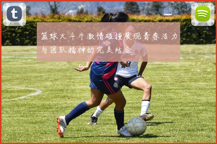 篮球火斗牛激情碰撞展现青春活力与团队精神的完美结合