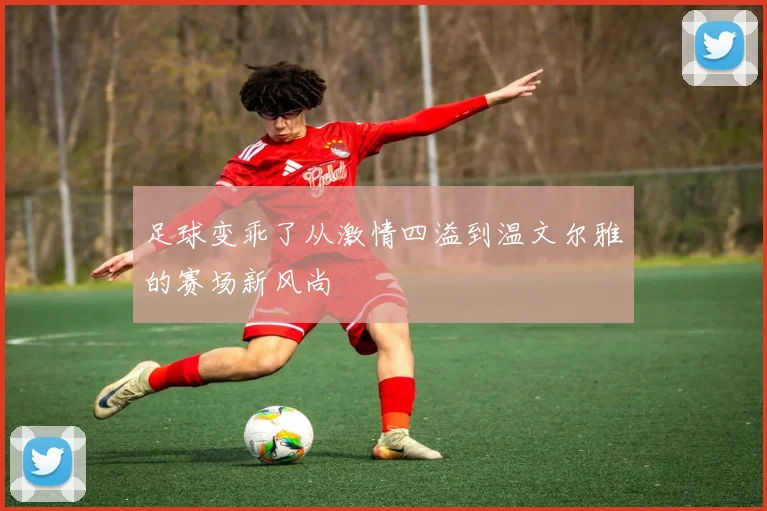 足球变乖了从激情四溢到温文尔雅的赛场新风尚
